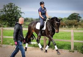 Building Confidence from the Ground Up: A Look Inside Today’s Horseback Riding Classes