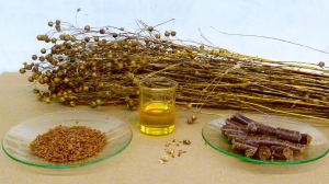 Prefeasibility Report on a Linseed Oil Processing Plant Project Setup Cost and Expanses