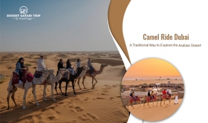 Camel Ride Dubai: A Traditional Way To Explore The Arabian Desert 