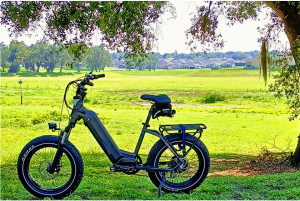 Magicycle Cruiser Pro Fat Tire EBike Built For Off-Road Adventure