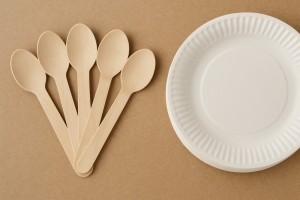 Buy Wooden Spoons and Paper Plate Making Machines from Trusted Manufacturers in Delhi