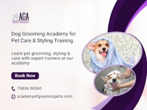 Career Opportunities After Completing Dog Grooming Courses in Ahmedabad