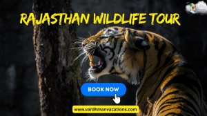 Rajasthan Wildlife Tour: A Thrilling Adventure in the Land of Kings