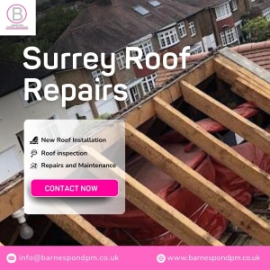 Surrey Roofing and Roof Repair Services by Barnes Pond Property Maintenance