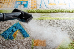 Carpet Cleaning Service: Why Professional Care Matters More Than You Think
