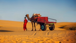 From Forts to Dunes: A Traveller’s Adventure Journey Through Jaisalmer