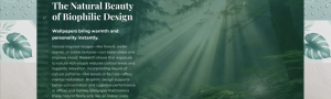 Shop High-Quality Wallpapers from Verified Supplier in Coimbatore