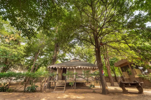 Best Family-Friendly Resorts in Ranthambore for a WildGetaway