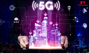 Fiber Internet in Noida: Why It is The Future of Fast and Stable Connectivity