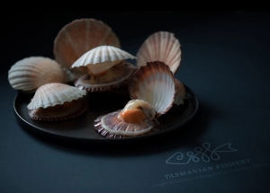Pairing Tasmanian Seafood with Local Wines