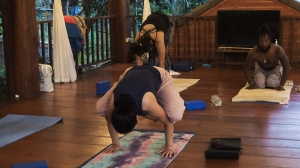 A Journey Within: Exploring Thailand’s Best Yoga Schools for Mindfulness and Wellness