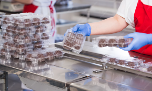 Understanding Belcor and Its Growing Impact in Modern Industries