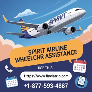 Spirit Airlines Wheelchair Assistance: Complete Guide, Policies