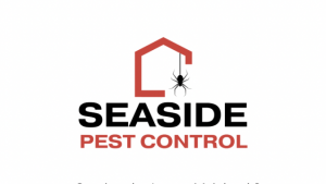 Pest Control Vancouver