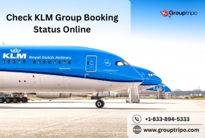 How to Check KLM Group Booking Status Online?