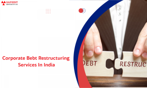 How Restructuring Debt Can Revive Your Business: A Fresh Perspective with Sapient Services
