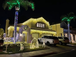 Twinkle Tactics: Layering Lights for Maximum Effect in Small Yards