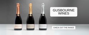 Elevate Your Celebrations with the Best Champagne and Best Red Wine from The Bottle Cellar