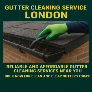 Why Clean Gutters Protect Your Home