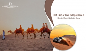 Best Time Of The Year To Experience A Morning Desert Safari In Dubai