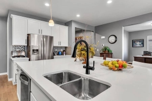 4N1 Faucet by AquaNuTech | Best pull-down faucet 