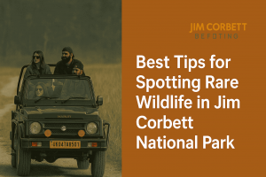 Best Tips for Spotting Rare Wildlife in Jim Corbett National Park