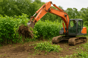 Why is Knotweed Removal Important for Homeowners?