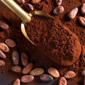 Cocoa Processing Plant Setup Cost 2025: Feasibility Study and Profit Analysis