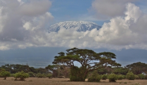 Mount Kilimanjaro vs Mount Meru: A Detailed Comparison of Tanzania’s Iconic Peaks