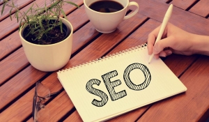 Local & International SEO Services in India | Rank Higher Fast