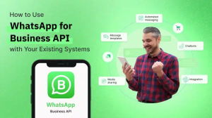 How to Use WhatsApp Business API: A Complete Guide for Businesses