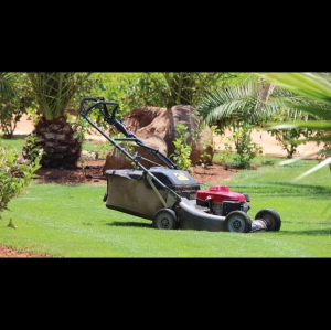 Eco-Friendly Care and Lawn Treatment NJ for Your Yard