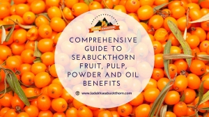 Comprehensive Guide to Seabuckthorn Fruit, Pulp, Powder and Oil Benefits	