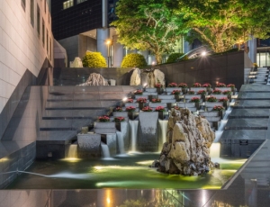 Transform Your Outdoors with a Professional Landscape Designer Miami
