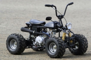 The Ultimate Guide to Building and Riding a Custom Mini Quad