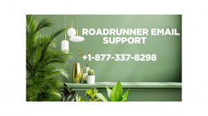 How do I update my Roadrunner account recovery options?