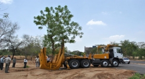 Tree Transplanting Services in Riyadh | Expert Care & Relocation