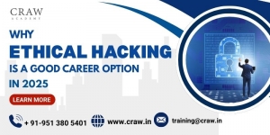 Why Ethical Hacking is a Good Career Option in 2025?