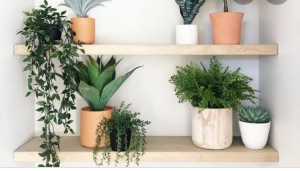 Artificial Plants Market Future Trends Shaping Urban Interiors and Commercial Spaces With Innovative Solutions