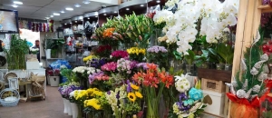 Premium Same Day Flower Delivery by expert professionals at Flowers Mart