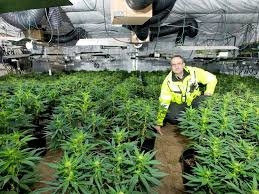 A Traveler's Guide to Edinburgh: Culture, Cannabis Laws, and Getting Around