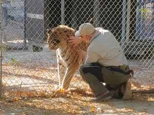 Understanding USDA Veterinary Services Safeguarding Animal Health and Public Well-Being