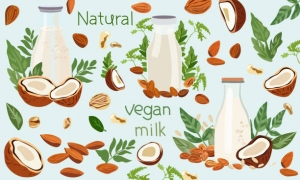 Los 5 tipos más populares de leches vegetales: sabor, nutrición y mejores usos  