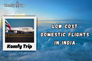 Fly Smart, Spend Less: Your Easy Guide to Low Cost Domestic Flights in India