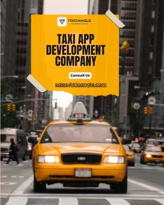 How to Find the Perfect Taxi App Development Company?