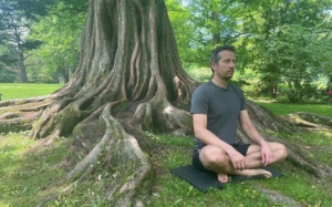 How to Use Nonviolent Communication in Work and Family Disputes