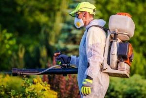 Pest Control Edmonton – Keep Your Home and Business Safe