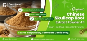 Why Formulators and Procurement Teams Are Turning to Organic Chinese Skullcap Root Extract Powder 4:1