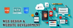 Premium Website Design on a Budget: Quality Doesn't Have to Be Costly