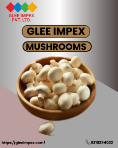Mushroom Export from India Made Easy with Glee Impex | Best Exporter Company in India